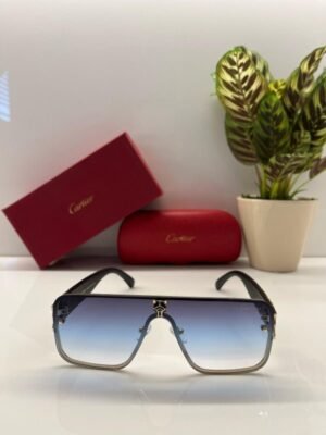 Branded Ctier Blue Sunglasses EW