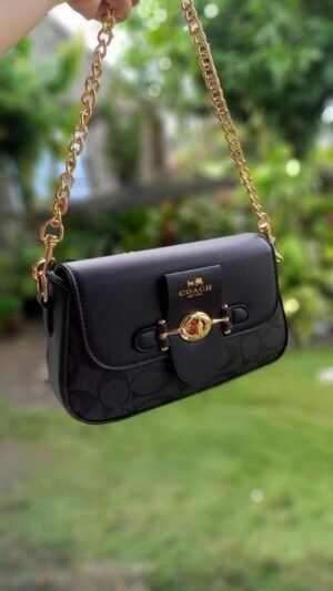 Coach -siling-bag-with-og-magnetic-box-bill 155(BR)