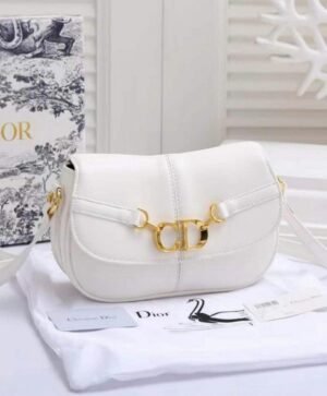 DIOR cd besace bag 145(BR)